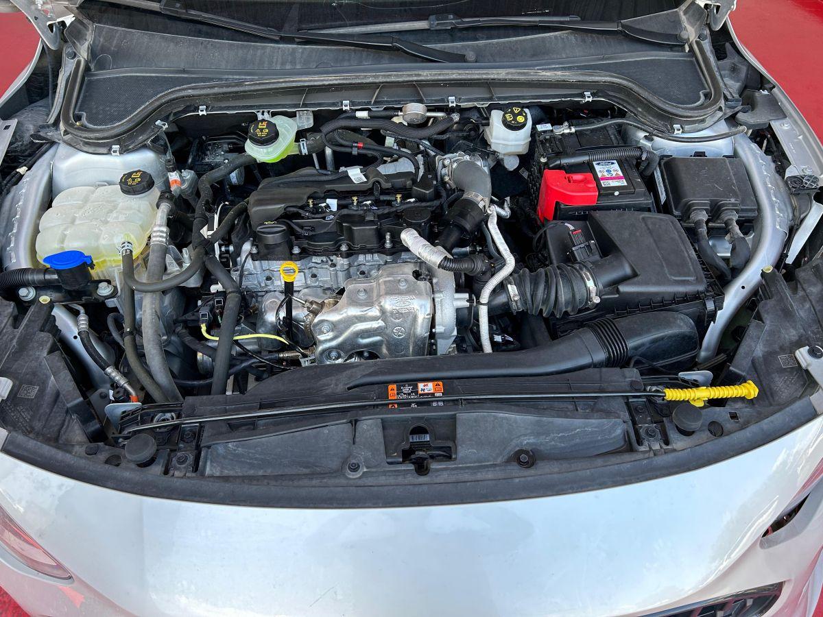 FOCUS ACTIVE X SW 1.5 ECOBLUE 115 8AT