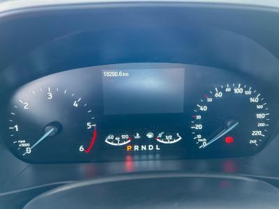 FOCUS ACTIVE X SW 1.5 ECOBLUE 115 8AT