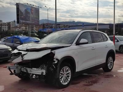 T10X V1 RWD STANDART MENZIL 160KW