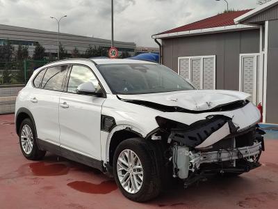 T10X V1 RWD STANDART MENZIL 160KW