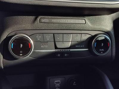 FOCUS ACTIVE SW 1.5 ECOBLUE 115 8AT