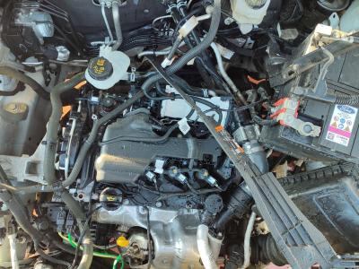 FOCUS ACTIVE SW 1.5 ECOBLUE 115 8AT