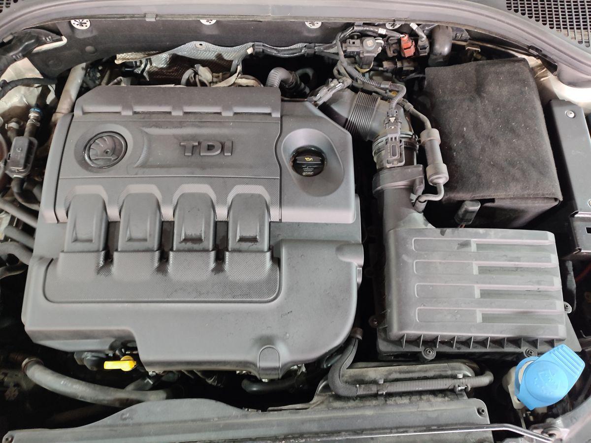 OCTAVIA 1.6 TDI CR 110 GREEN TEC STYLE