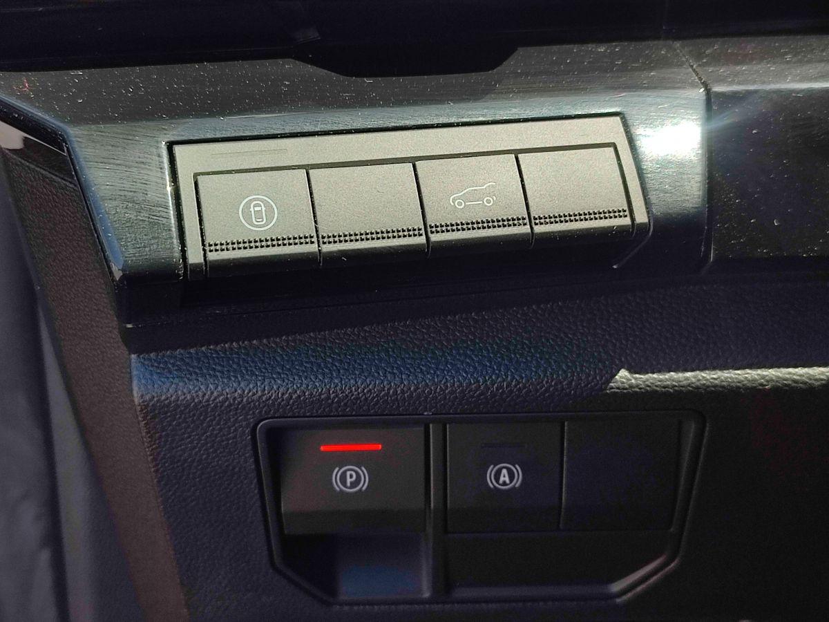 RAFALE ESPRIT ALPINE E-TECH F.HYBRID 200