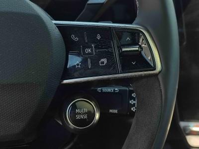 RAFALE ESPRIT ALPINE E-TECH F.HYBRID 200