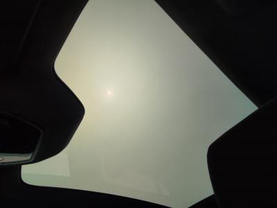 RAFALE ESPRIT ALPINE E-TECH F.HYBRID 200