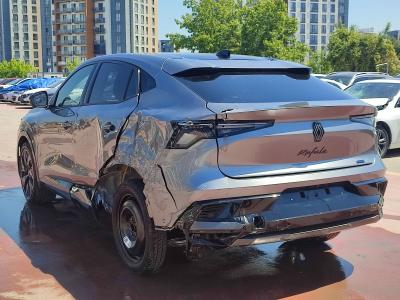 RAFALE ESPRIT ALPINE E-TECH F.HYBRID 200