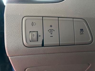 ELANTRA 1.6 CRDI ELİTE