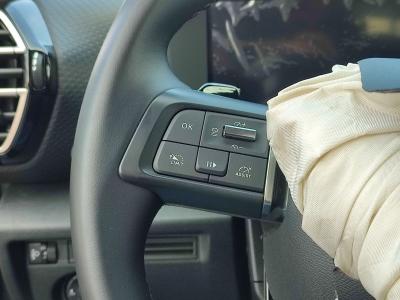 C4 MAX 1.2 MHEV 136 EDCS6