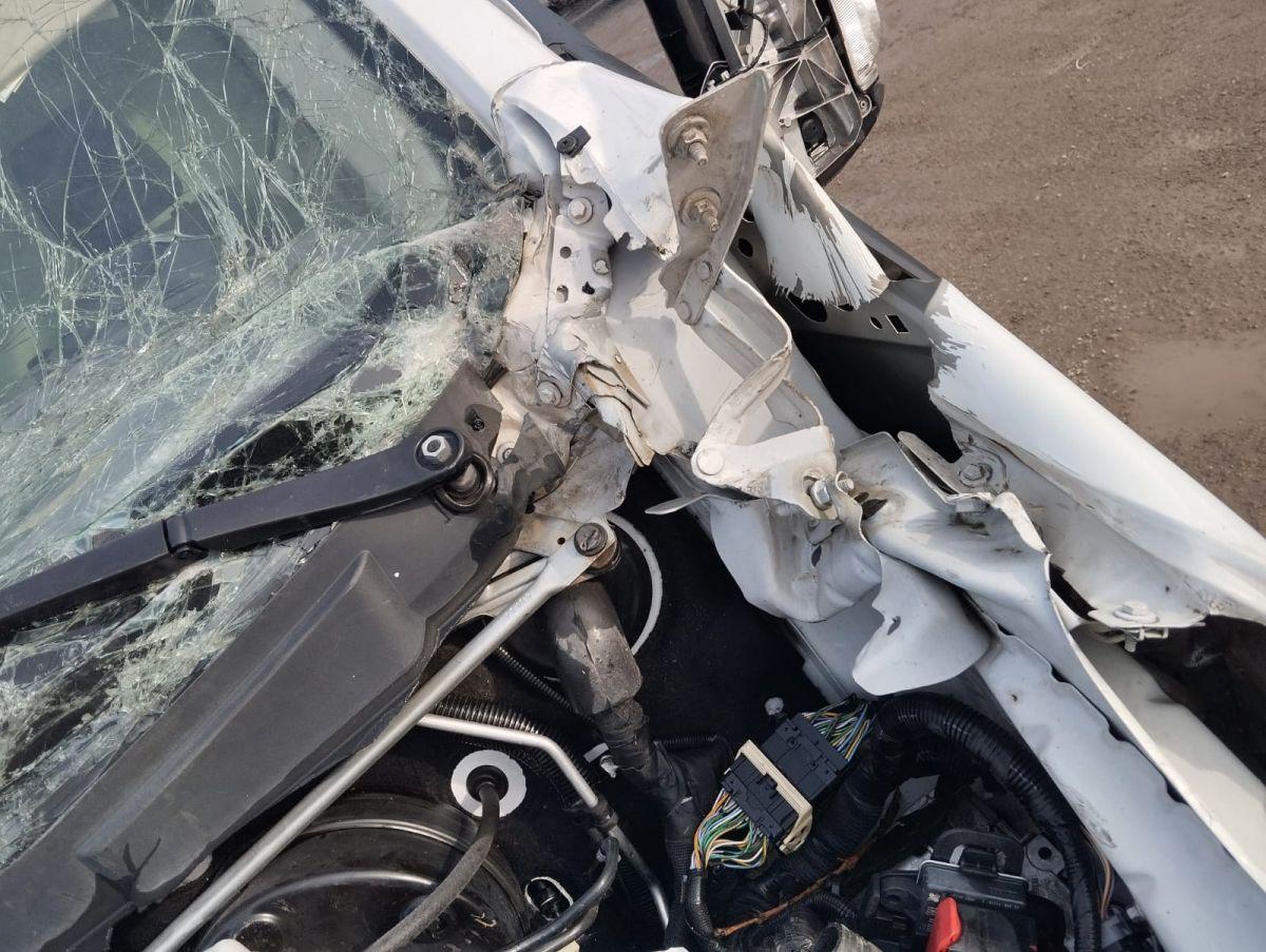 TRANSIT MCAI 350ED KAMYONET UPGRADE 170 TREND