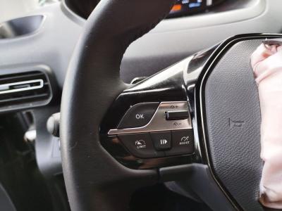 RIFTER ALLURE 1.5 BLUEHDI 130 FL