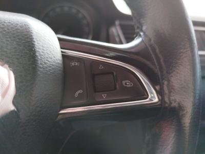 RAPID 1.4 TDI CR 90 GREEN TEC STYLE DSG