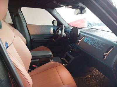 MINI COOPER COUNTRYMAN E 204 FAVOURED