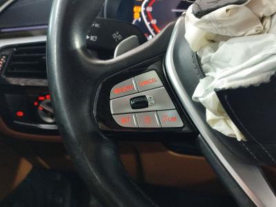 530i XDRIVE LCI 2.0 252 SPECIALEDITION LUXU.L