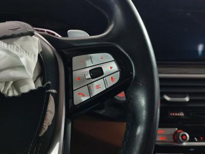 530i XDRIVE LCI 2.0 252 SPECIALEDITION LUXU.L