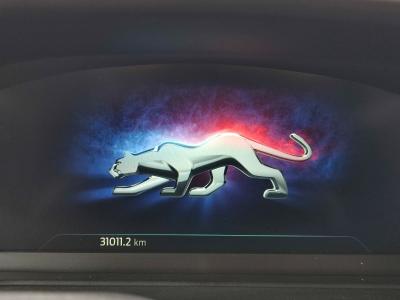 PUMA ST-LINE 1.0 MHEV ECOBOOST 155 7AT