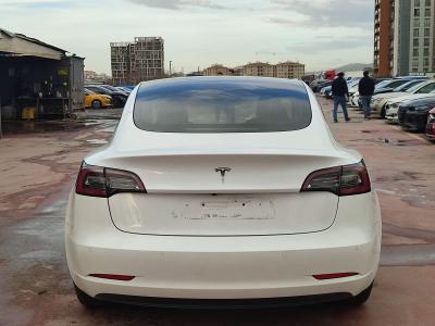 MODEL 3 STANDART PLUS