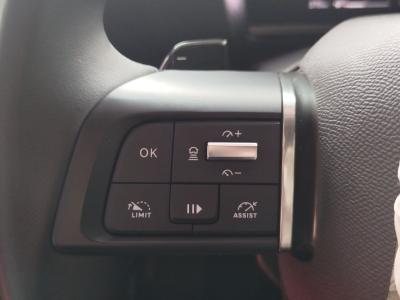 C4 X SHINE BOLD 1.2 PURETECH 130 EAT8