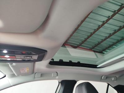 DS4 PERFORMANCE LINE 1.2 PURETECH 130