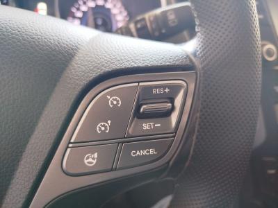 SANTA FE 2.0 CRDI R5 184 EXECUTIVE AT 4x4