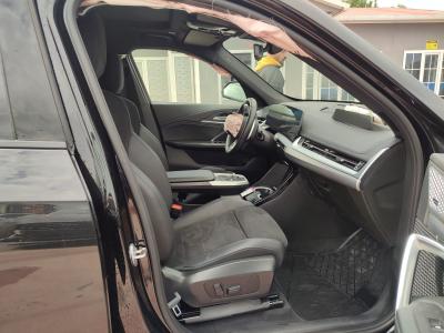 X1 XDRIVE25e 1.5 245 M SPORT