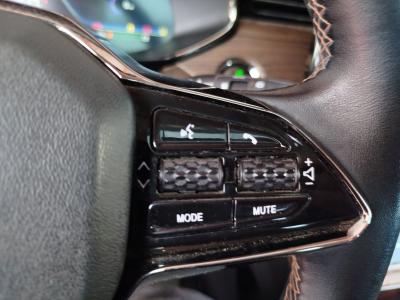 ET5 LEGEND ELEKTRIKLI