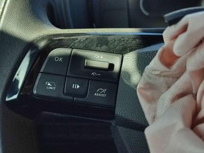 DOBLO CARGO MAXI 1.5 100 BLUEHDI FL